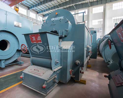 DZL Series Biomass Fired Steam Boiler Sales