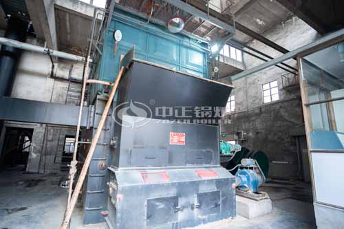 DZL Horizontal Biomass Fired Steam Boiler Sales