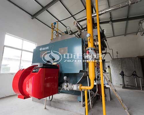 WNS Series Gas Fired Steam Boiler Supplier