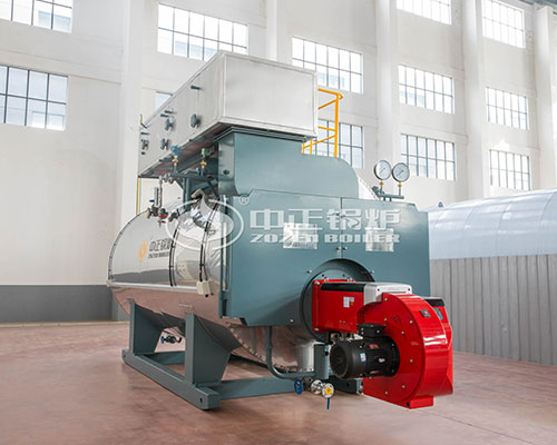 WNS Series Gas Fired Steam Boiler Supplier