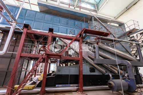 15Ton SZL Biomass Fired Boiler In Papua New Guinea