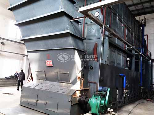 20Ton SZL Biomass Fired Steam Boiler In Indonesia