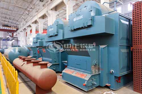 Biomass Fired Boiler 2mw Sale