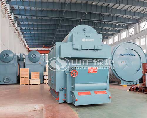 Horizontal Biomass Steam Boiler for Sale