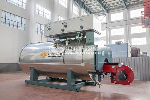 6 Ton Natural Gas Fired Steam Boiler for Hospital