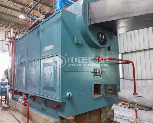 10 tph Horizontal Biomass Steam Boiler