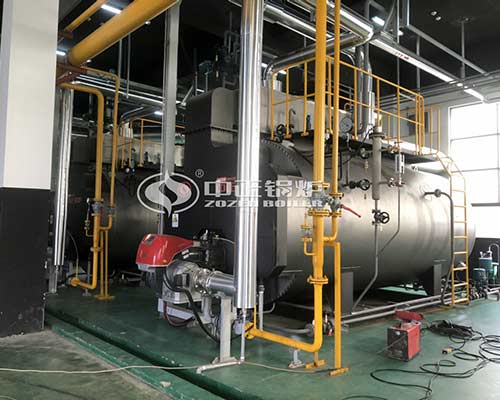 LPG Fired Steam Boilers For Sale