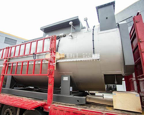 6 Ton WNS Series Natural Gas Steam Boiler Project