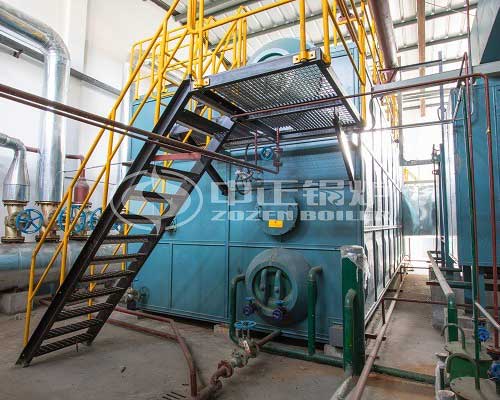 Low Nitrogen SZS Hot Water Boiler Price