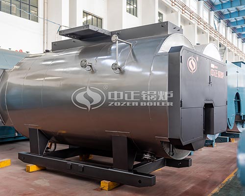 20 tph Gas Fired Boilers Cost