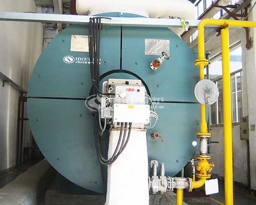 Gas Fired Boilers Provide Heat for Food Industry