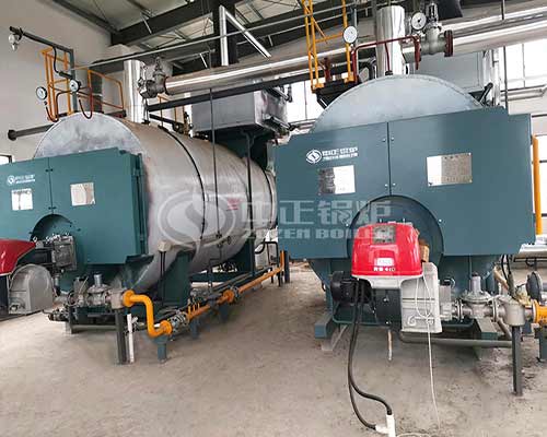 0.7MW WNS Series Gas-Fired Hot Water Boiler Project