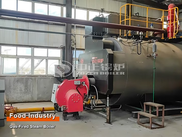 ZOZEN gas steam boiler 