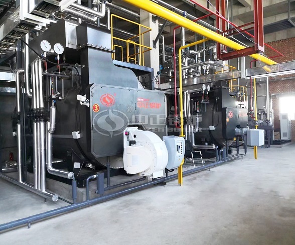 ZOZEN Dual Fuel Boilers