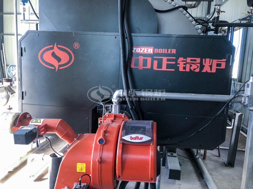 ZOZEN Dual Fuel Boiler