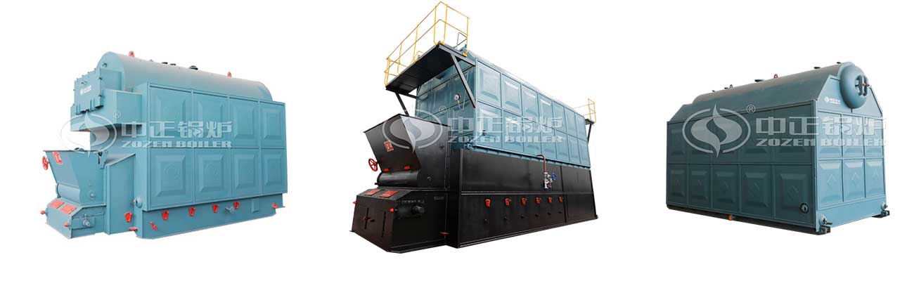 Coal/Biomass Fired Boilers