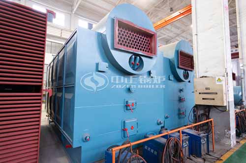 4Ton DZL Biomass Fired Fire Tube Boiler In Malaysia