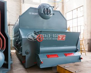 Industrial Coal Fired Chain Grate Boiler Supply