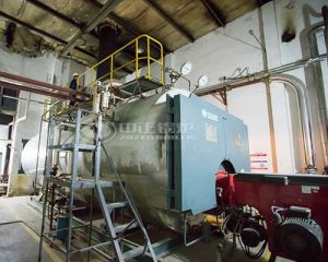 Professional Diesel Steam Boiler Manufacturer