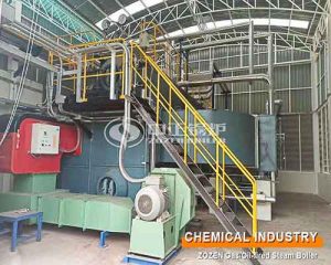 20 Ton Oil/Gas-fired Steam Boiler