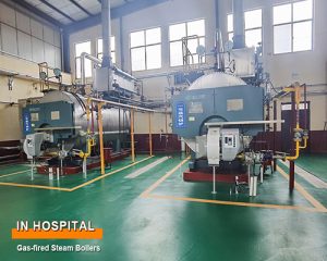 3 Ton Gas Fired Energy Saving Steam Boiler