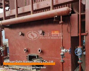 25 tph SHX Circulating Fluidized Bed Boiler