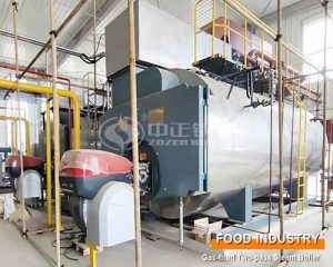 10 ton Gas Steam Boiler Application