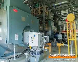 15 Ton Natural Gas Boiler for Dairy Industry