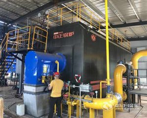 ZOZEN 20 ton gas fired steam boiler