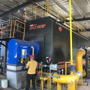 ZOZEN 20 ton gas fired steam boiler