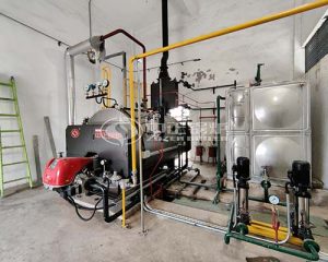 Factory Price Gas Fired Boilers Suppliers