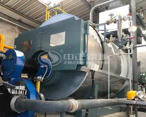 2 Ton WNS Gas Steam Boiler for Auto Parts Industry