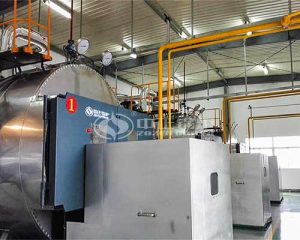 6 Ton WNS Series Natural Gas Steam Boiler Project