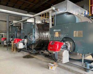 6 Ton WNS Series Gas Steam Boiler