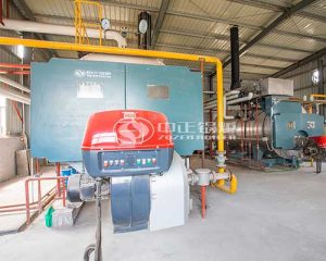 Condensing Gas Fired Steam Boiler For Sale