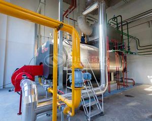 2 tph Condensing Gas Steam Boiler for Food Industry