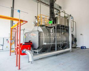 Industrial LPG Steam Boiler