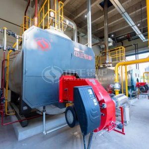 8 ton Gas Steam Boiler