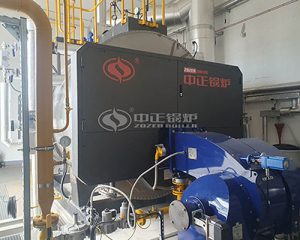 3 Ton Gas Boiler in Hungary