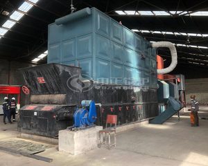 6 Million Kcal Thermal Oil Boiler