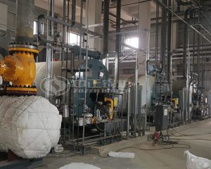 2 Million Kcal Gas Fired Thermal Oil Boiler