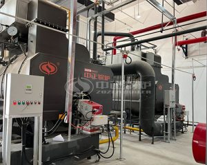 6 Ton 8 Ton Gas Boiler in Bio Industry