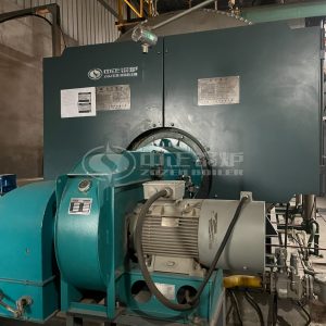 ZOZEN Biogas Boiler Manufacturer