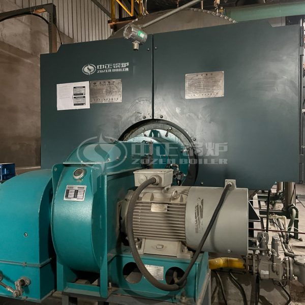 ZOZEN Biogas Boiler Manufacturer