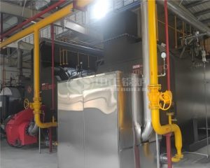 2 Sets of 10 Ton Condensing Gas Steam Boilers in Brewing Industry