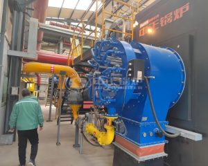 18 TPH Gas Fired Steam Boiler in Beverage Industry