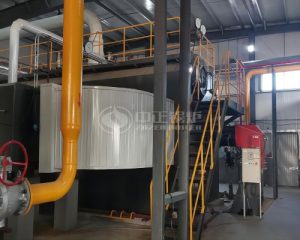 20 TPH Gas Fired Steam Boiler in Chemical Pigment Industry