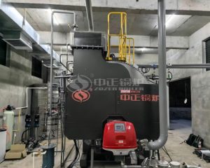 2 TPH Gas Fired Steam Boiler in Distillery