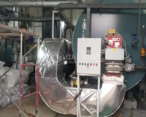 3 Million Kcal Gas Thermal Oil Boiler for Chemical Industry