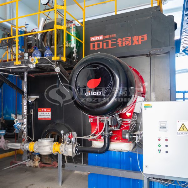 ZOZEN Water Tube Steam Boilers